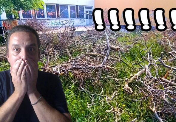 Prečo musíme chodiť do práce? Úvaha o slobode a peniazoch