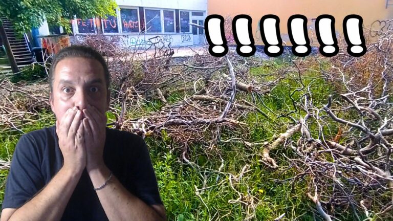 Prečo musíme chodiť do práce? Úvaha o slobode a peniazoch