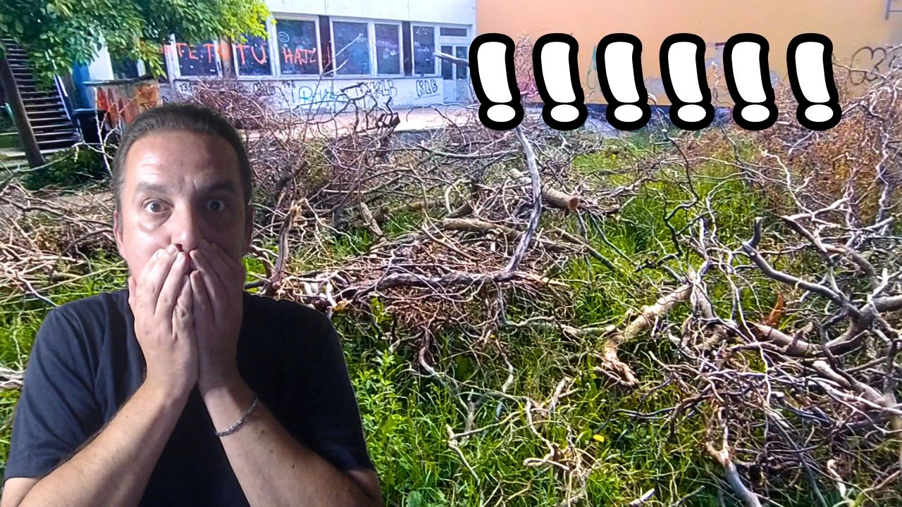 Prečo musíme chodiť do práce? Úvaha o slobode a peniazoch