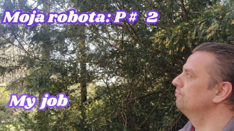 Čerstvý vzduch namiesto kancelárie: Prečo by som nevymenil prácu vonku za sedenie pri počítači